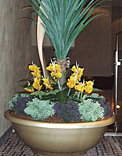 planters